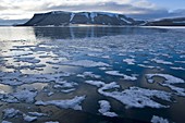 Islas Spitsbergen o Svalbard, Noruega  ARTICO