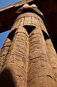 Templo de Luxor, Luxor, Valle del Nilo, Egipto