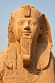 Esfinge colosal de calcita, Menfis, El Cairo, Valle del Nilo, Egipto