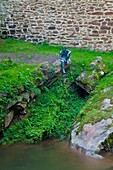 Hombre Pez, Puente romano Puente Mayor, Río Miera, Liérganes, Comarca Trasmiera, Cantabria, España