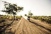 Mann auf Motorrad fährt auf Schotterstrasse, Mali, Afrika