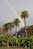 Regenbogen über Palmen, Playa de Santiago, Südküste, Gomera, Kanarische Inseln, Spanien, Europa