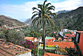 View at palm tree and roofs, valley of Vallehermoso, northcoast of Gomera, Canary Isles, Spain, Europe