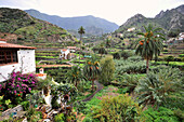Häuser im Tal von Vallehermoso, Nordküste, Gomera, Kanarische Inseln, Spanien, Europa