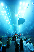 Menschen im Dubai Aquarium und Unterwasser Zoo im Einkaufszentrum Dubai Mall, Dubai, VAE, Vereinigte Arabische Emirate, Vorderasien, Asien