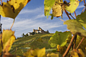 Castiglione Falletto, Langhe, Piemont, Italien