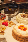 Kuchenauslage, Kuchen und Torten in Café Platti, Turin, Piemont, Italien