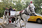 Horse-drawn Carriage in Central Park, New York City, USA