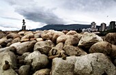 Large rock son beach English Bay Vancouver BC Canada