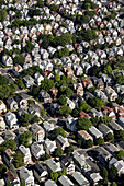Aerial view housing rows, Somerville, Massachusetts, USA