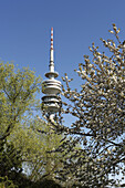 Olympiaturm, Munich, Bavaria, Germany