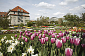 Botanical Gardens, Munich, Bavaria, Germany