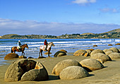 Horse riders inspecting Moeraki boulders North Otago New Zealand