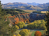 Autumn near Waiau North Canterbury New Zealand