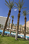 Palm trees and pool at the Meridean Hotel resort, En Bokek, Israel, Middle East