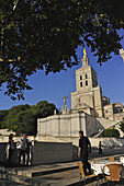 Die Kathedrale Notre-Dame-des-Doms im Sonnenlicht, Avignon, Vaucluse, Provence, Frankreich, Europa