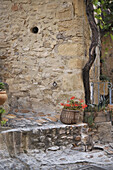 Cat in front of a building at the medieval city Vaison la Romaine, Vaucluse, Provence, France, Europe