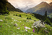 Alp digl Plaz, ascent to Alp Flix, Kanton of Grisons, Switzerland