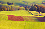 Fields and pastures in autumn, St. Peter, Black Forest, Baden-Wurttemberg, Germany