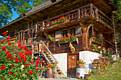 Öhlermühle, Schildwende, Titisee-Neustadt, Jostal, Schwarzwald, Baden-Württemberg, Deutschland