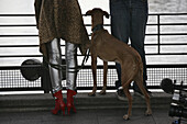 City life on Oberbaum bridge, Friedrichshain, Kreuzberg, Berlin, Germany