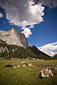 Küche auf einer Wiese, Wurzeralm, Oberösterreich, Österreich