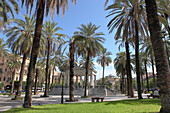 Palmen an der Piazza Castelnuovo, im Hintergrund Theater Politeama Garibaldi, Palermo, Provinz Palermo, Sizilien, Italien, Europa