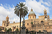 Palm tree in front of cathedral Maria Santissima Assunta, Square Piazza Cattedrale, Palermo, Province Palermo, Sicily, Italy, Europe