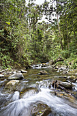 Rio Savegre, Cerro de la muerte, Costa Rica