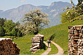 Berglandschaft über dem Hintersteiner See bei Scheffau am Wilden Kaiser, Tirol, Österreich