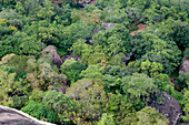View from the Sigiriya peak upon the terrace gardens, Sigiriya, Sri Lanka, Asia