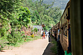 Haltestelle an Sri Lankas schönster Eisenbahnstrecke durchs Hochland, Nuwara Eliya, Hochland, Sri Lanka, Asien