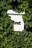 Briefkasten und Blätter im Sonnenlicht, Schweden, Europa