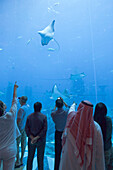 Aquarium des Luxushotels Atlantis auf der Palme von Jumeirah