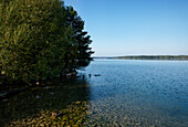 Werbellinsee, Joachimsthal, Land Brandenburg, Deutschland