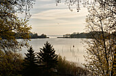 Lake near in Roebel, Mecklenburg lake District, Mecklenburg-Western Pomerania, Germany