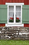 Blumen mit weißen Vorhänge im Fenster eines altes Hauses