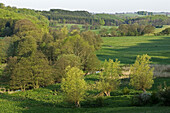 Fyle valley (Fyledalen), Tomelilla, Skåne, Sweden