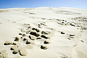 Sand dunes, Raabjerg Mölle, Jutland, Denmark
