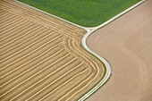 Agriculture landscape