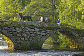 Children and horses crossing bridge