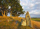 Graves from the Iron Ages., Skåne, Sverige