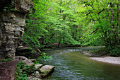 Bach im Wald im Naturschutzgebiet Wutachschlucht, Südlicher Schwarzwald, Baden-Württemberg, Deutschland, Europa