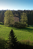 Blick auf Schwarzwaldhaus zwischen Bäumen, Südlicher Schwarzwald, Baden-Württemberg, Deutschland, Europa