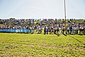 Bull race, Haunshofen, Wielenbach, Upper Bavaria, Germany