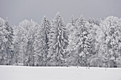 Winterlanschaft, Tegernseer Land, Oberbayern, Bayern, Deutschland