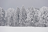 Winter scenery, Tegernseer Land, Upper Bavaria, Germany