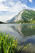 Lake with mountain reflection, Lago di Toblino, Trentino, Italy