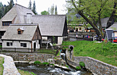 Frohnau hammer mill, Annaberg-Buchholz, Ore Mountains, Saxony, Germany