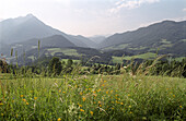 View over a Summer meadow towards mountains, Stodertal, Upper Austria, Austria, Alps, Europe